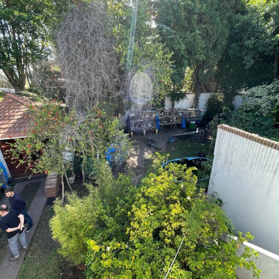 VENTA CASA 4 AMBIENTES CON QUINCHO, PILETA Y GARAGE, QUILMES OESTE CENTRO.