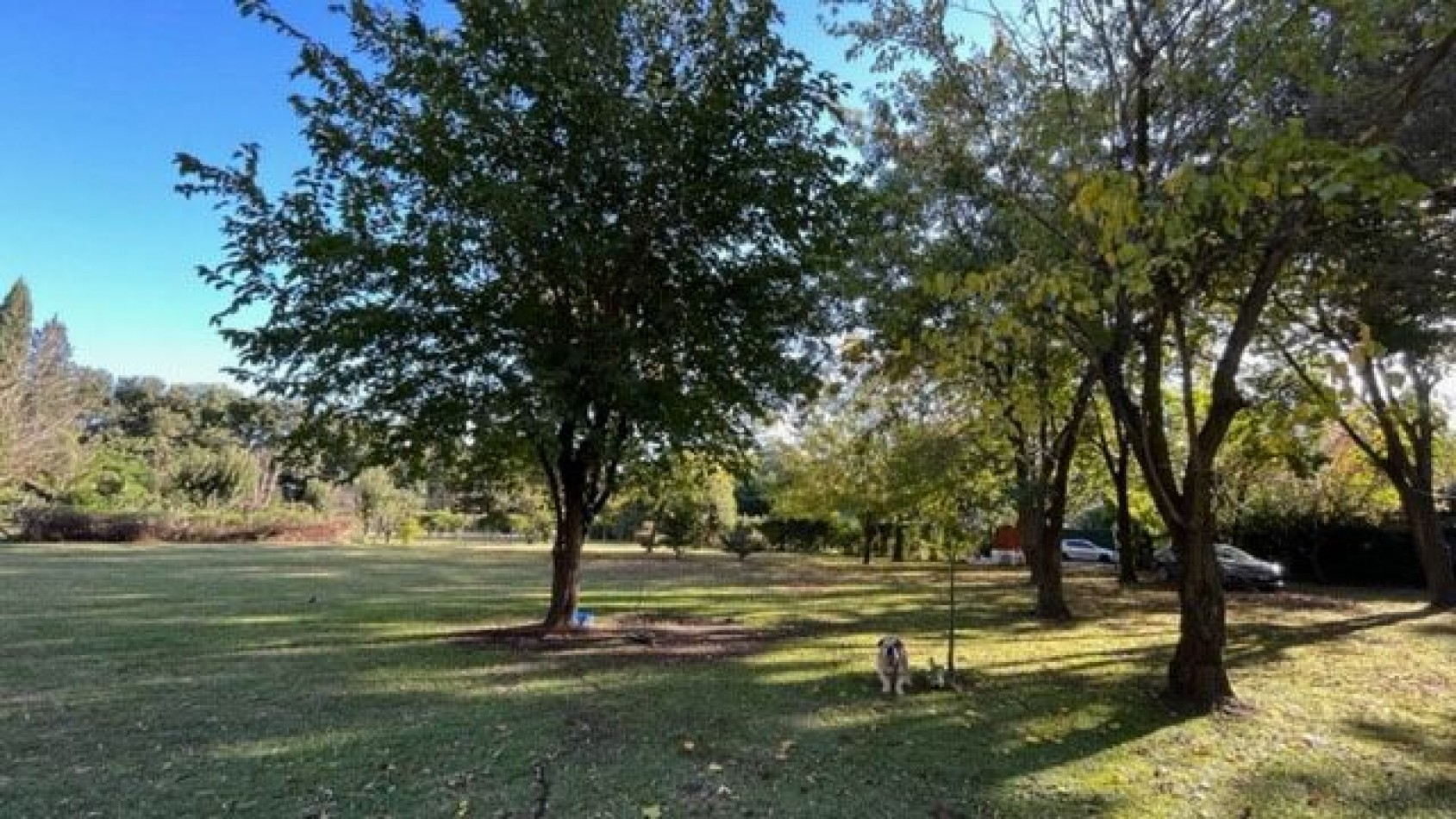 VENTA  HERMOSA QUINTA DE 3 HECTAREAS CON AÑEJA ARBOLADA, PILETA Y PARRILLA. 
